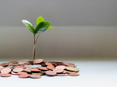 Loan Calculator Guide